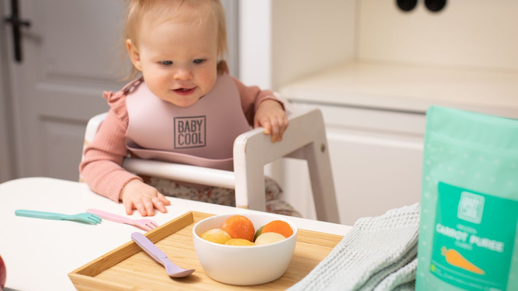 why-choose-frozen-baby-food-babycool-frozen-baby-puree-cubes.